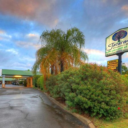 Jacaranda Country Motel Saint George Zewnętrze zdjęcie